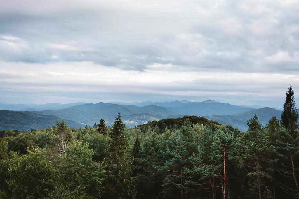 Plac 12 ari na Bagremaru, pogled na grad - fotografija 3